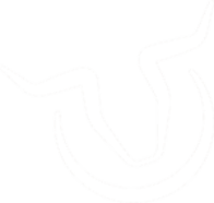Domů